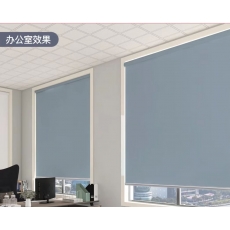 手动升降卷帘（单位/个  型号：1005  规格200*320cm）
